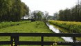 /album/fotogalerij-natuur-krimpenerwaard/dsc0103-jpg/