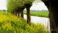 /album/fotogalerij-natuur-krimpenerwaard/dsc0134-jpg/