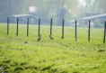 /album/fotogalerij-natuur-krimpenerwaard/dsc0148-jpg/